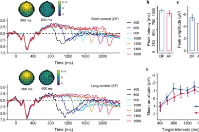 Electrophysiological signatures of temporal context