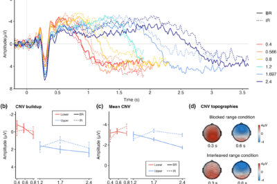 How range contexts modulate time perception and its EEG signatures