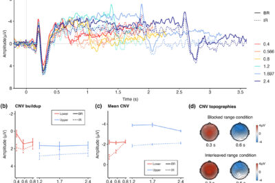 Blocked versus interleaved: How range contexts modulate time perception and its EEG signatures