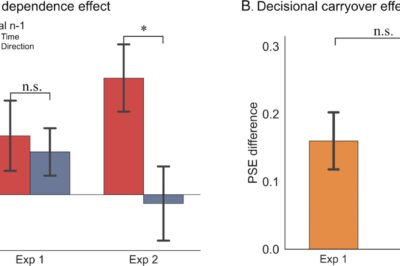 How tasks shape temporal sequential dependence