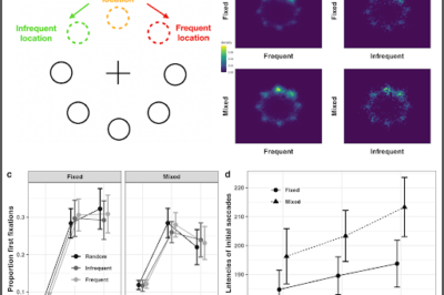 How do we learn and use dynamic spatial patterns in visual search?