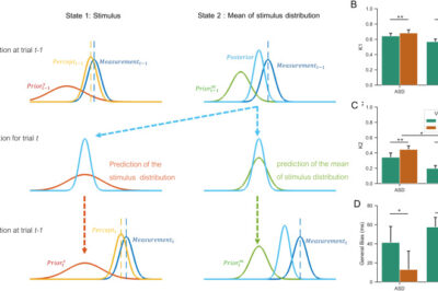 Atypical Prior Updating in ASD