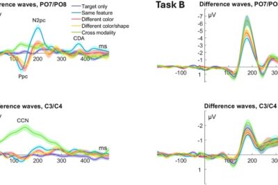 How Distractors Summon but Do Not Engage Attention