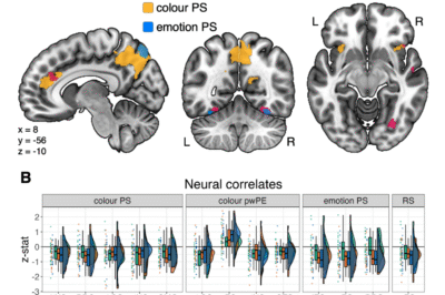 Domain-specific vs domain-general prediction errors